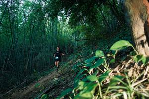 BIB: 
                            <button type="button" onclick="openModal(28124748)" class="btn btn-primary btn-sm float-right btn-popup" data-toggle="modal" data-target=".modal-high-quality">
                        <i class="fas fa-shopping-cart"></i> Add to Cart
                    </button>
                                            <button type="button" onclick="isThisMe(28124748, true)" class="btn btn-success btn-sm float-right btn-popup btn-isme hidden" data-toggle="tooltip" data-placement="bottom" title="นี่คือรูปของคุณใช่ไหม คลิกที่นี่เพื่อเอาเข้าอัลบั้ม">
                        <i class="fas fa-plus"></i> Add to album
                    </button>
                    <button type="button" onclick="isThisMe(28124748, false)" class="btn btn-warning btn-sm float-right btn-popup btn-isnotme hidden">
                        <i class="fas fa-ban"></i> Remove from album
                    </button>